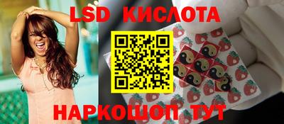 гидропоника Камышлов