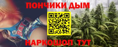 сатива Кандалакша