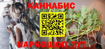 гидропоника Камышлов