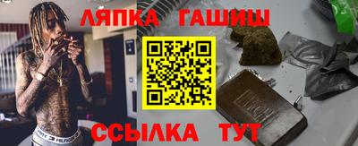 гидропоника Камышлов