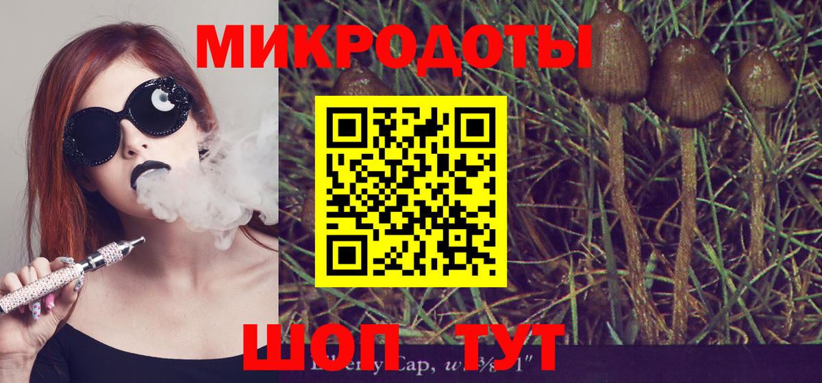 Топки  Галлюциногенные грибы GOLDEN TEACHER  продажа наркотиков  Вход с VPN 