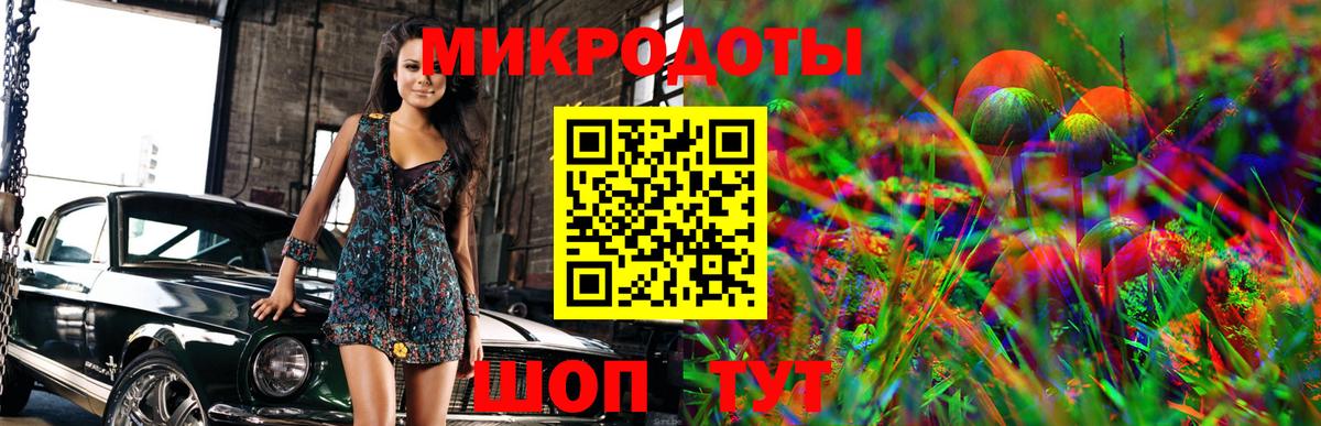 Псилоцибиновые грибы Cubensis Топки